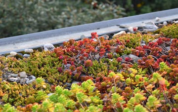 the cost of Priestwood green roof installation