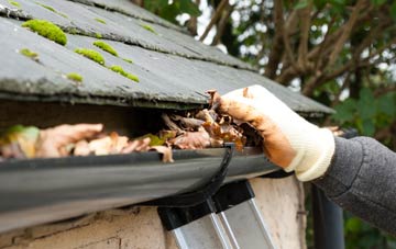 gutter cleaning Priestwood