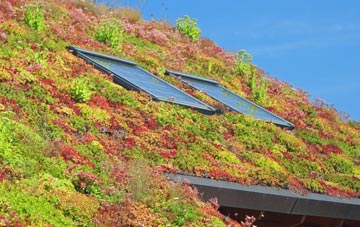 Priestwood living roof systems