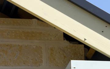 soffit repair Priestwood