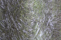 Priestwood fibreglass roof work