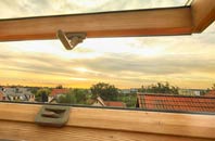 rated Priestwood roof window companies